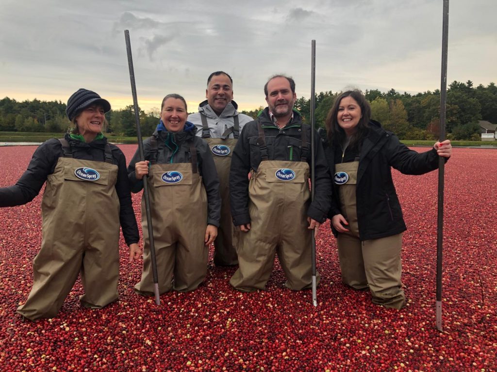 pictures of faces of team in cranberry bog